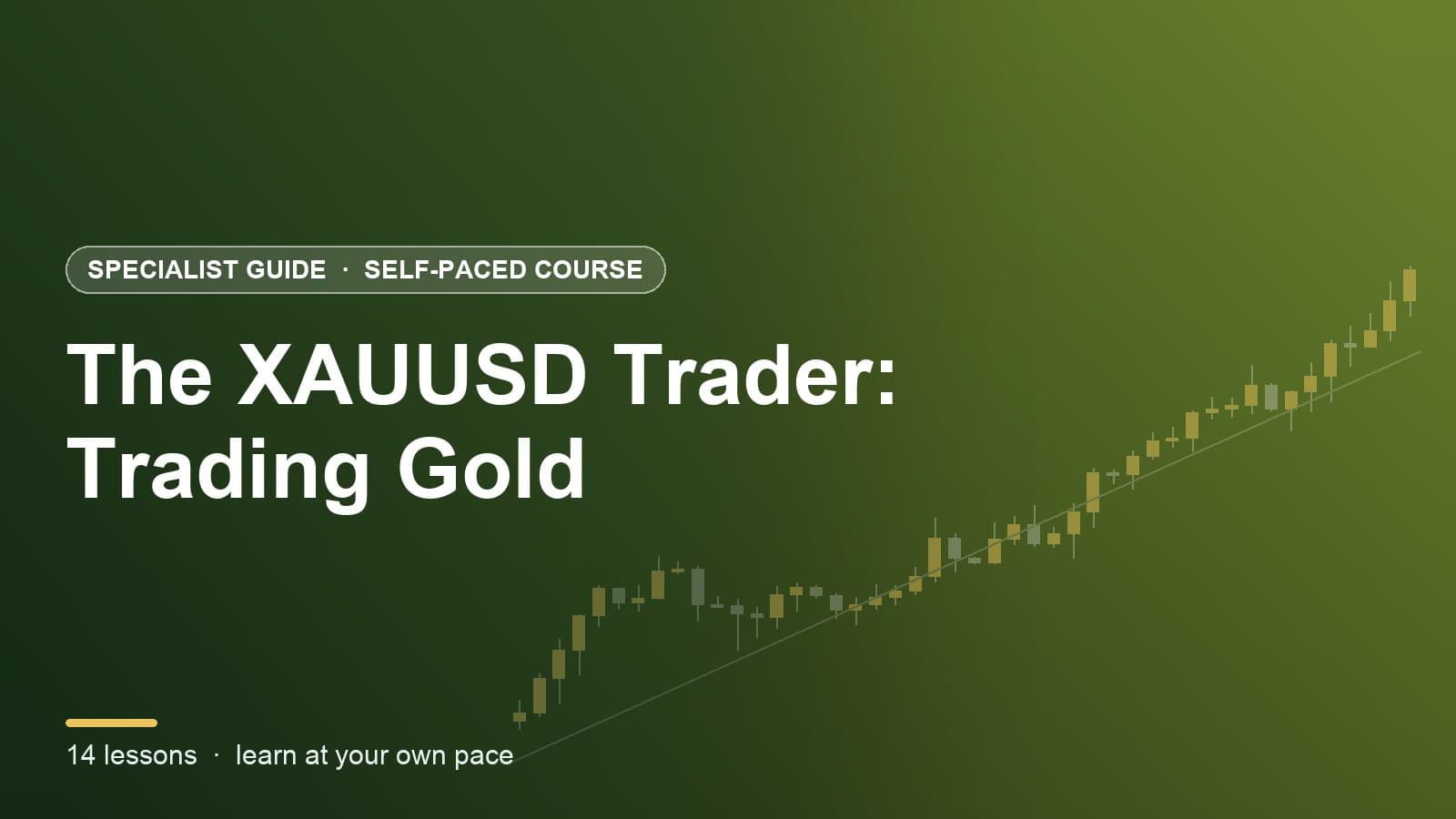 The XAUUSD Trader: Trading Gold