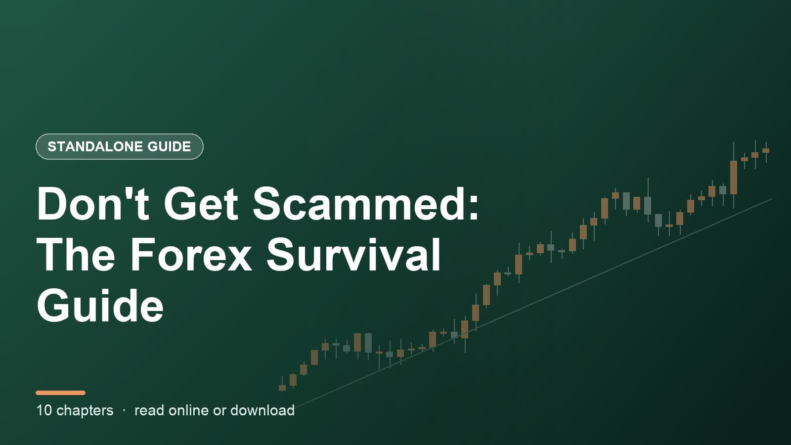 Don't Get Scammed: The Forex Survival Guide